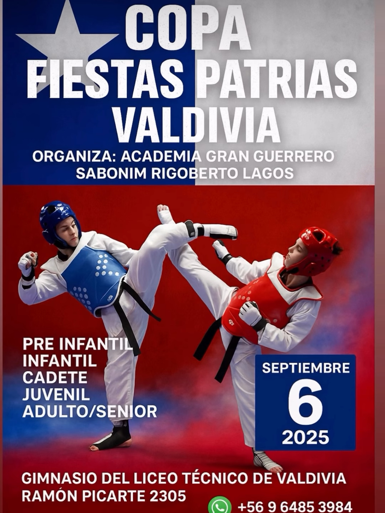 Afiche