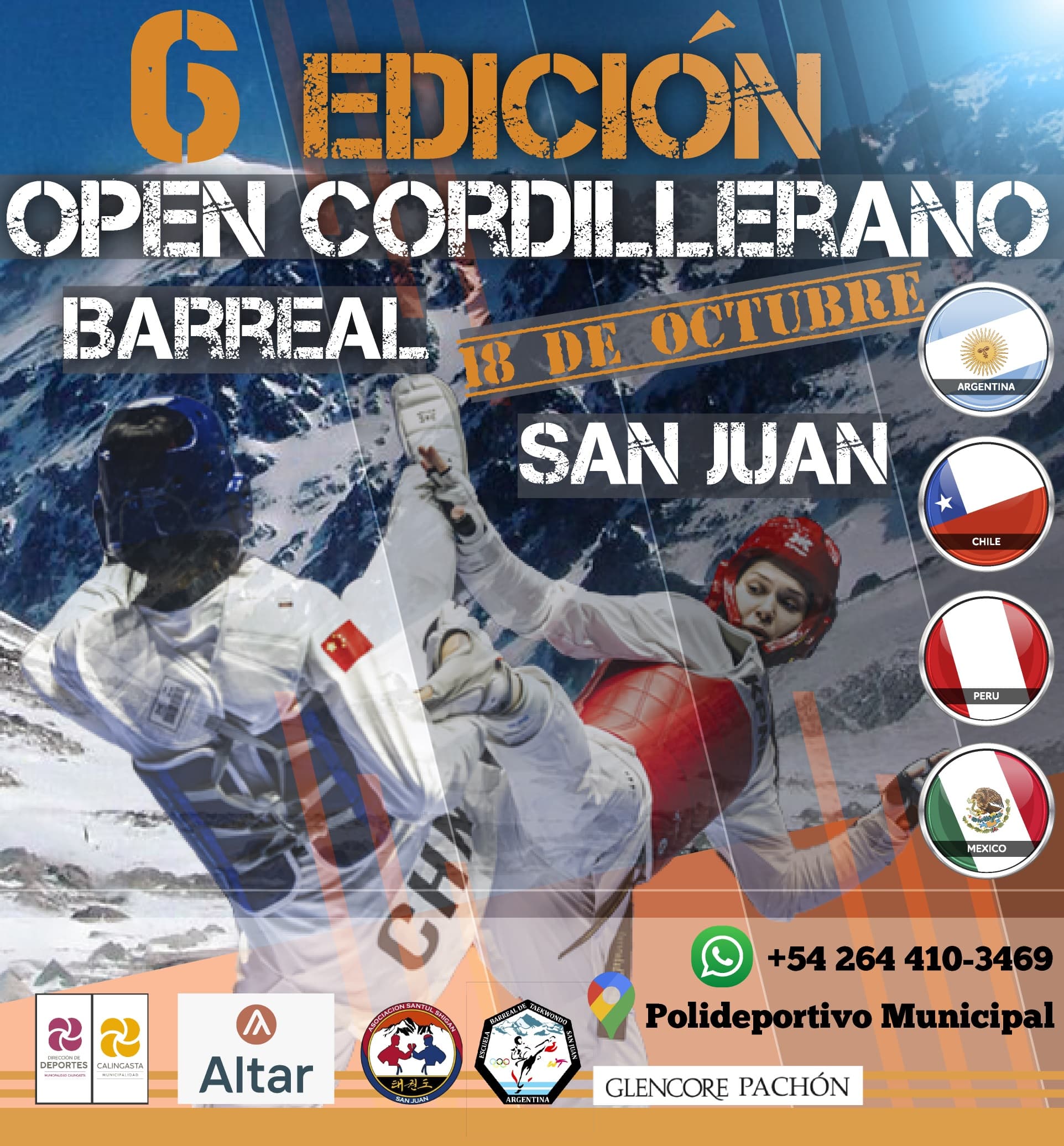 Afiche