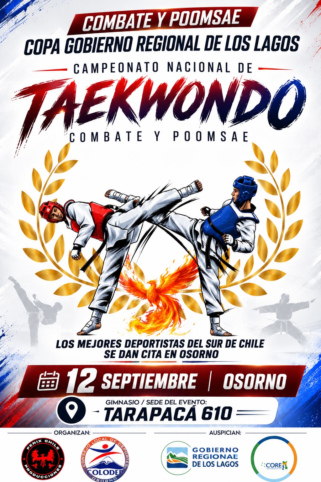 Afiche